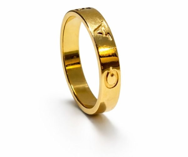 d5ede8c3-c0f2-4628-985e-1c7a3d1c07a4-2